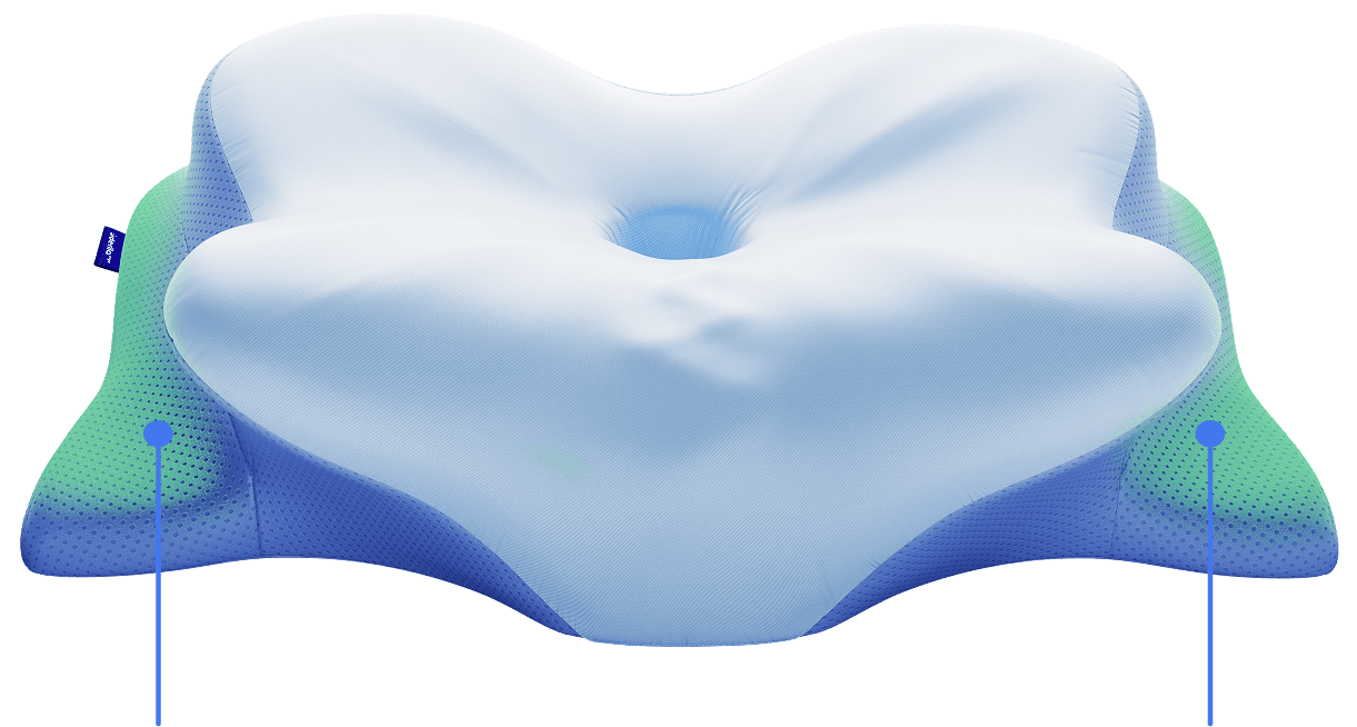 Derila Ergo Pillow Ergonomic Neck Support